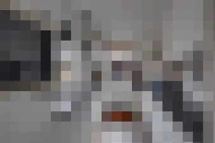 Larixhof 3 Dieren thumbnail 10