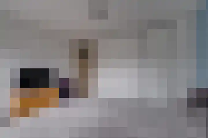 Larixhof 3 Dieren thumbnail 12