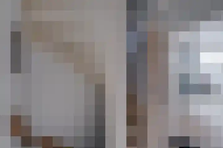 Larixhof 3 Dieren thumbnail 18