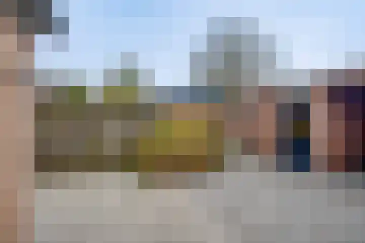 Larixhof 3 Dieren thumbnail 23