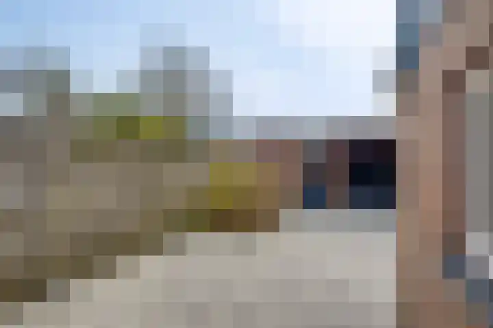 Larixhof 3 Dieren thumbnail 26