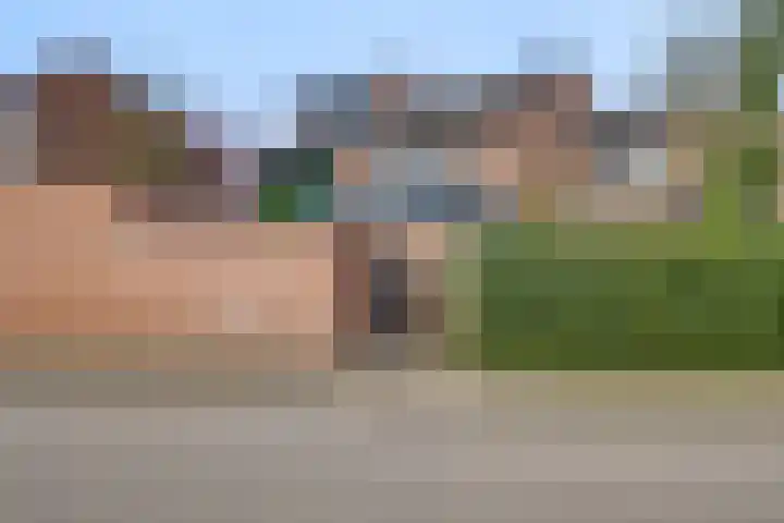 Larixhof 3 Dieren thumbnail 28