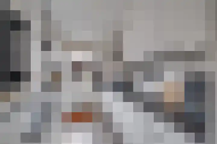 Larixhof 3 Dieren thumbnail 9