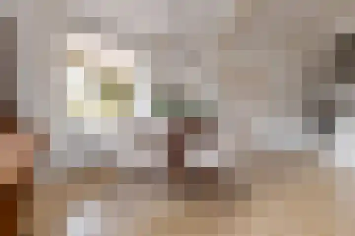 Larixlaan 14 Roden thumbnail 14