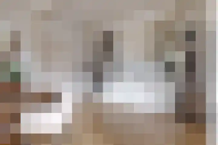 Larixlaan 14 Roden thumbnail 17