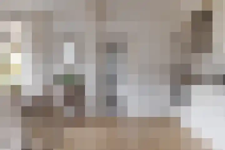 Larixlaan 14 Roden thumbnail 18