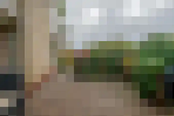 Larixlaan 14 Roden thumbnail 26