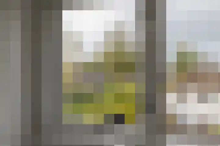 Larixlaan 14 Roden thumbnail 45