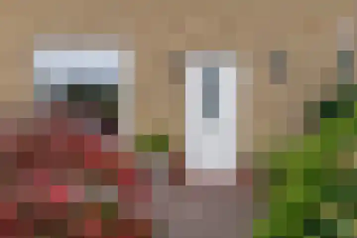 Larixlaan 14 Roden thumbnail 8