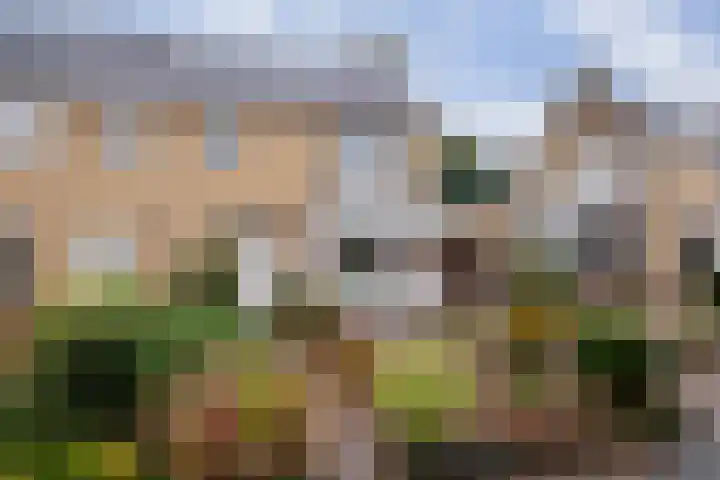 Larixlaan 16 Roden thumbnail 26