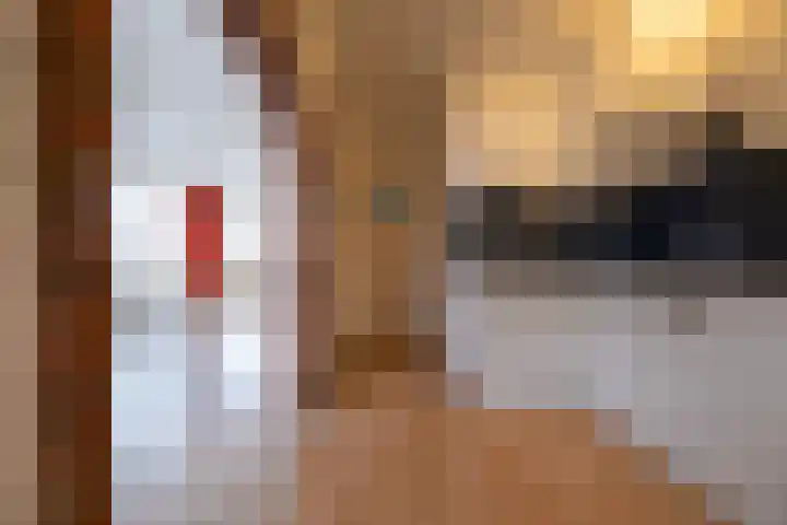 Larixlaan 16 Roden thumbnail 7