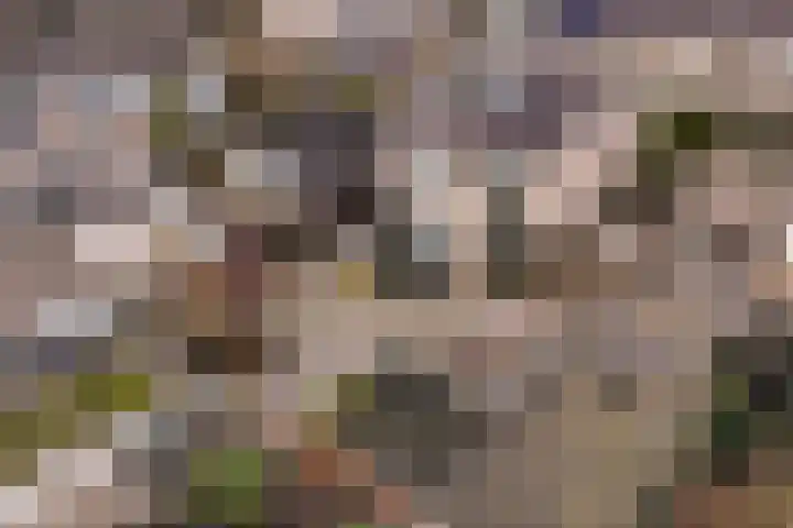 Larixlaan 29 Wierden thumbnail 45