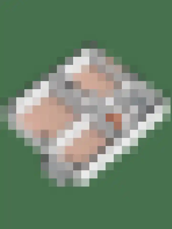Larixlaan 29 Wierden thumbnail 49