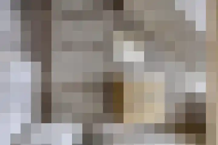 Larixlaan 32 Roden thumbnail 19