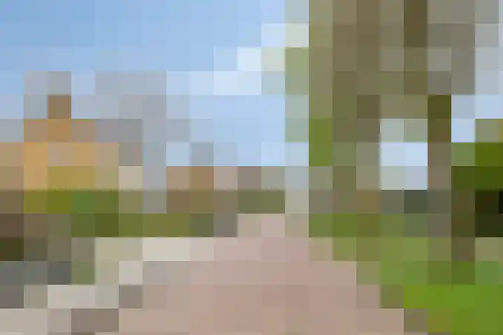 Larixlaan 32 Roden thumbnail 33