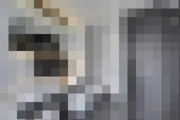 Larixlaan 34 Monster thumbnail 17