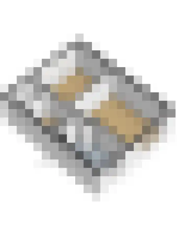 Larixlaan 34 Monster thumbnail 37
