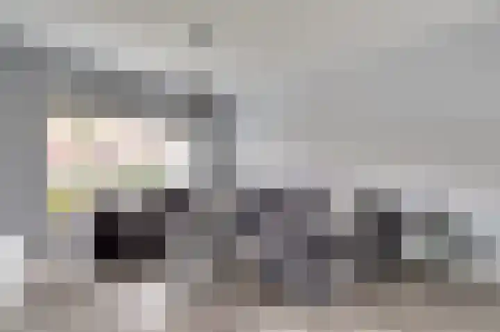Larixlaan 34 Monster thumbnail 4