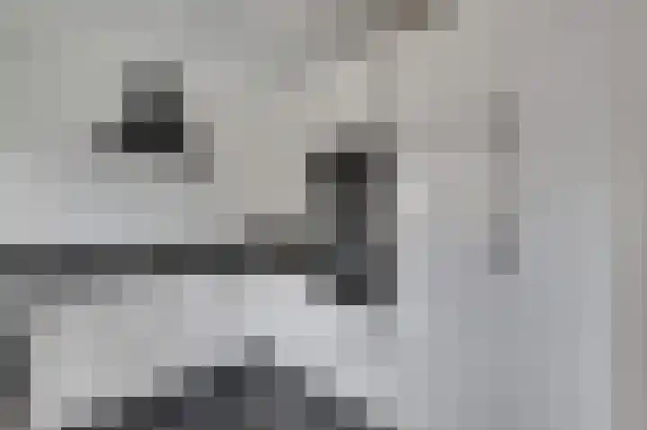 Larixlaan 34 Monster thumbnail 8