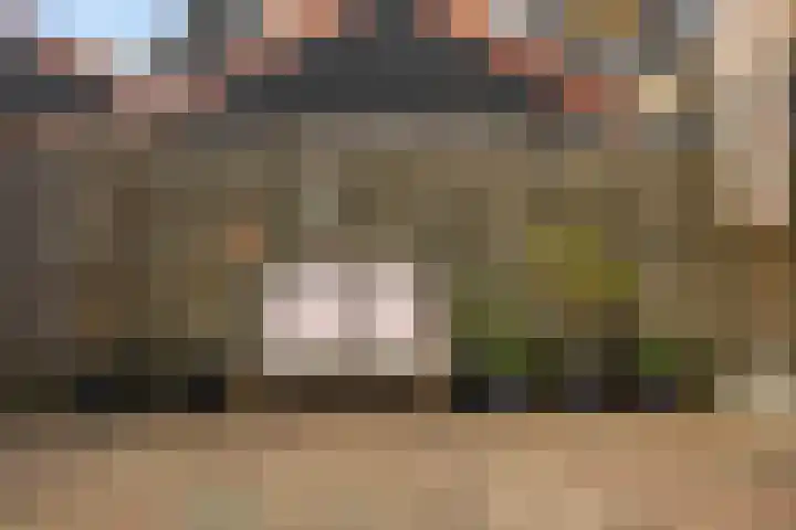 Larixweg 18 't Harde thumbnail 36