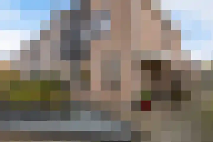 Larixweg 18 't Harde thumbnail 39