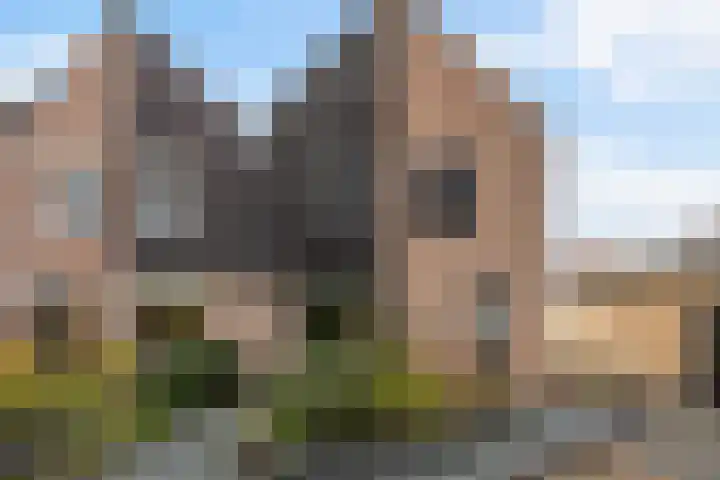 Larixweg 18 't Harde thumbnail 41