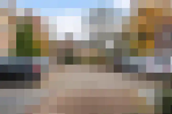 Larixweg 18 't Harde thumbnail 43