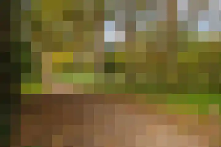 Larixweg 18 't Harde thumbnail 46