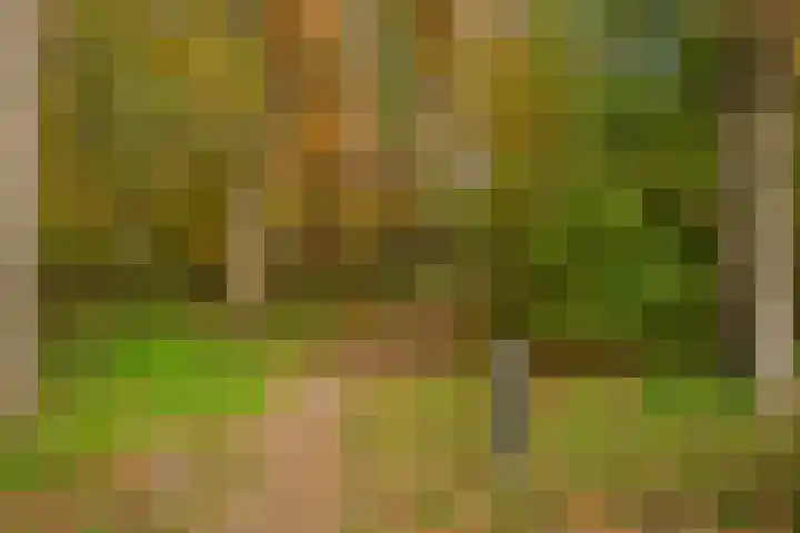 Larixweg 18 't Harde thumbnail 47