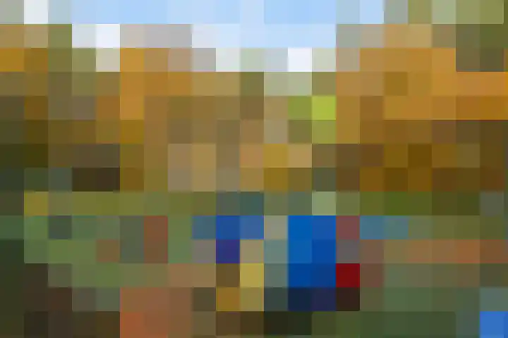 Larixweg 18 't Harde thumbnail 49