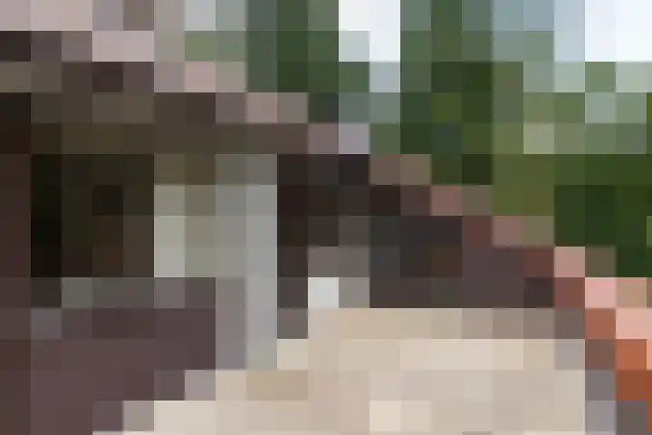 Lassuslaan 61 Bilthoven thumbnail 30