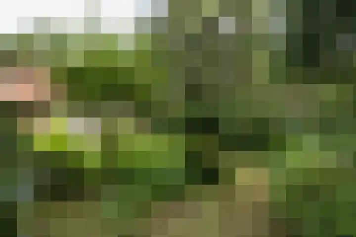 Lassuslaan 61 Bilthoven thumbnail 34