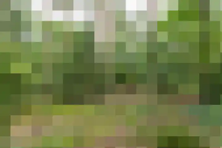 Lassuslaan 61 Bilthoven thumbnail 35