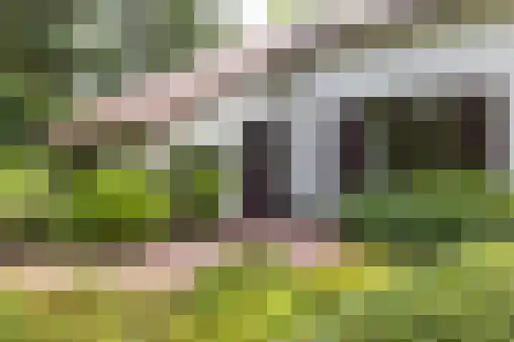 Lassuslaan 61 Bilthoven thumbnail 5