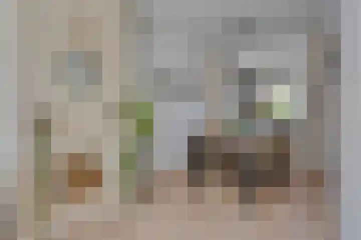 Lassusstraat 26 Eindhoven thumbnail 14