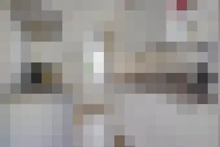 Lassusstraat 26 Eindhoven thumbnail 20