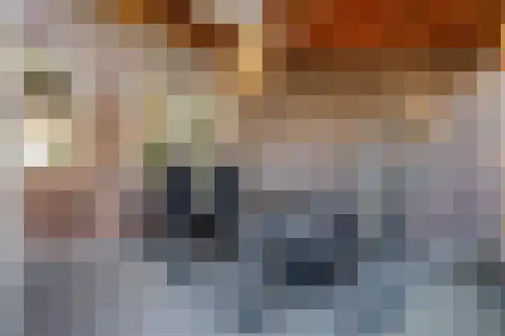 Lassusstraat 26 Eindhoven thumbnail 33