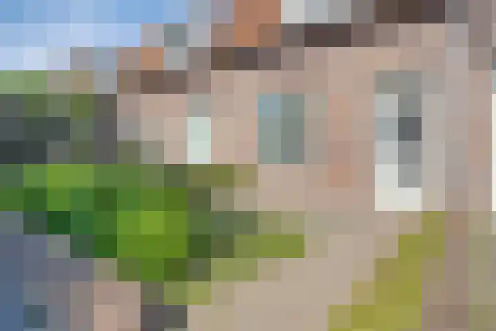 Lassusstraat 26 Eindhoven thumbnail 8