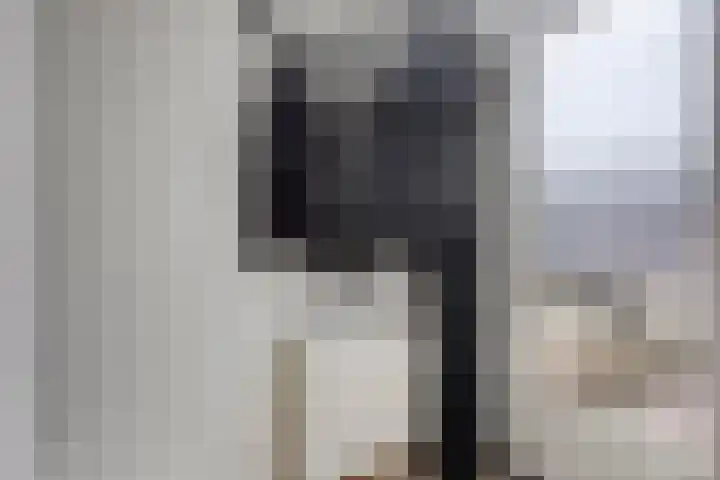 Lassusstraat 26 Eindhoven thumbnail 9