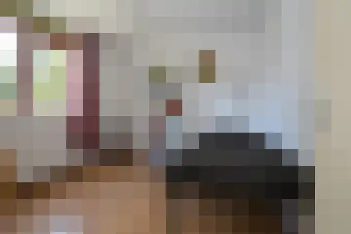 Latenstein 13 Middenbeemster thumbnail 26