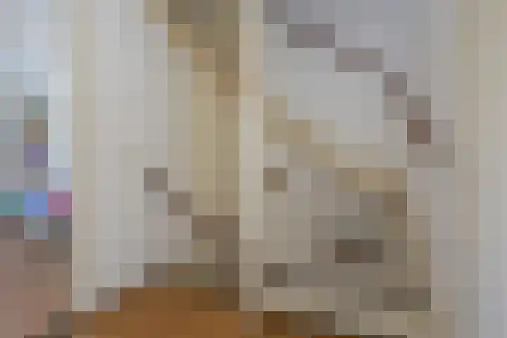 Latenstein 13 Middenbeemster thumbnail 29