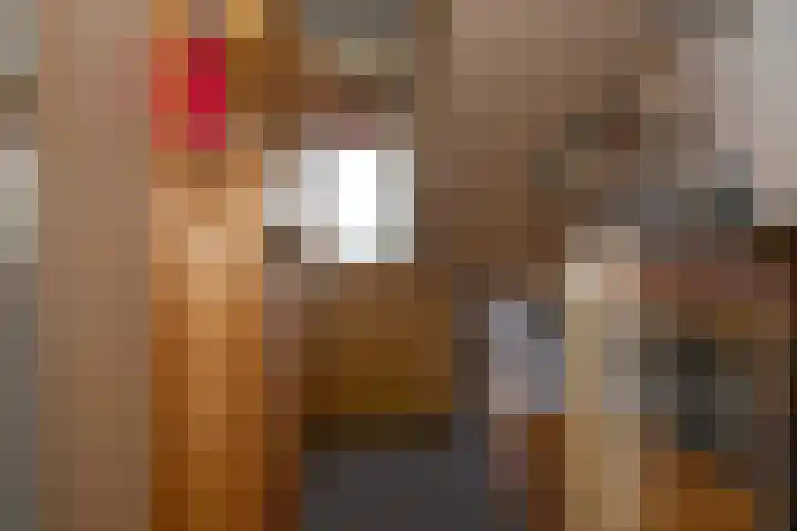Latenstein 13 Middenbeemster thumbnail 30