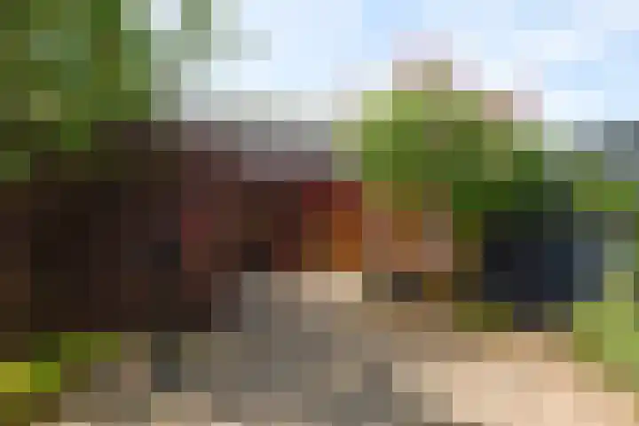 Latenstein 13 Middenbeemster thumbnail 40