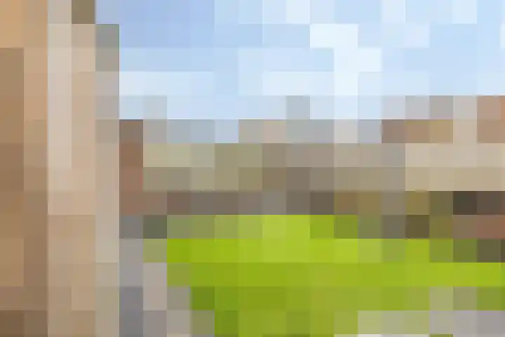 Lathyrus 2 Venray foto 2