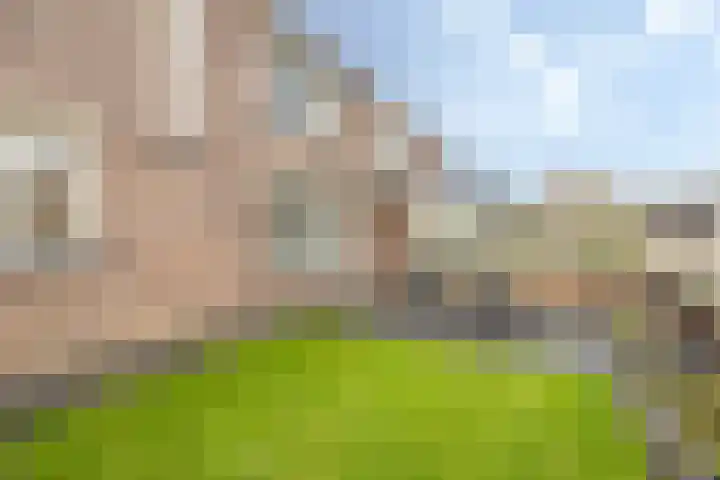 Lathyrus 2 Venray thumbnail 25