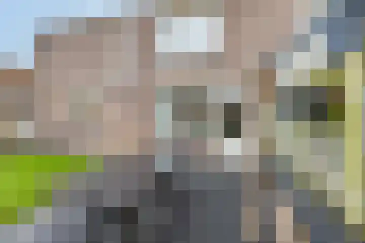 Lathyrus 2 Venray thumbnail 26