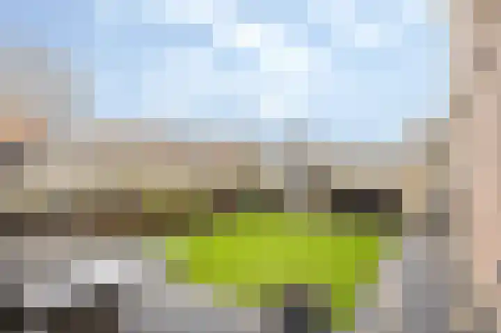 Lathyrus 2 Venray thumbnail 27