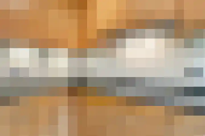 Lathyrus 41 Venray thumbnail 11