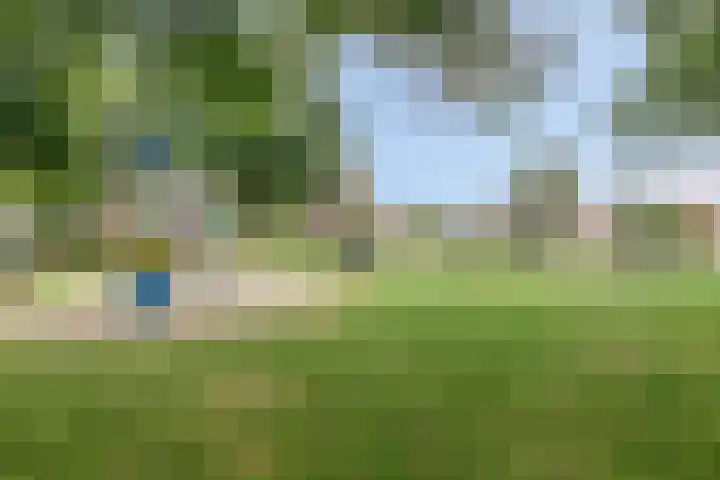Lathyrus 41 Venray thumbnail 34