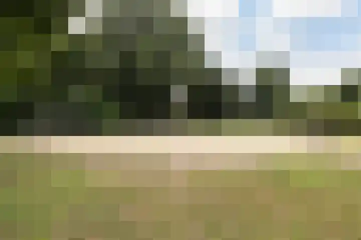 Lathyrusstraat 13 De Bilt thumbnail 36